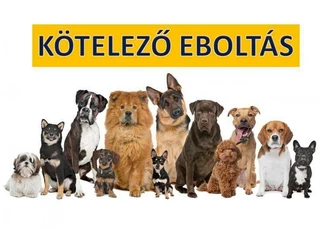 Kötelező eboltás 